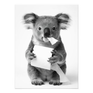 Foto Koala Adorable Blanco y Negro Sosteniendo Papel Hi