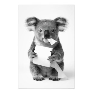 Foto Koala Adorable Blanco y Negro Sosteniendo Papel Hi