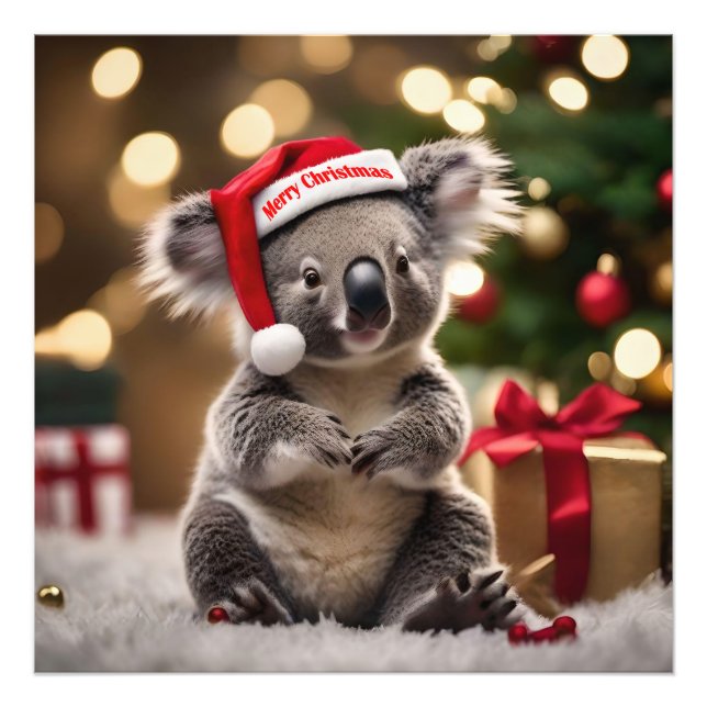 Foto "Koala Kris Kringle: Navidades en Australia" (Frente)