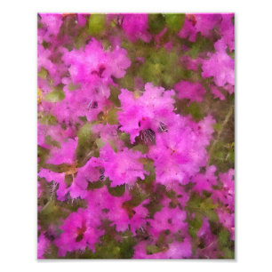 Foto KODAK Print Purple Rhododendron
