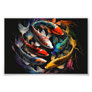 Foto Koi, Koi Fish, Art Print, Poster