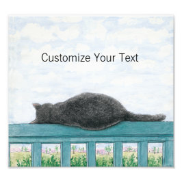 Foto Kramer El Gato Dormía En El Balcón