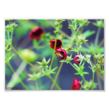 La abeja con la flor roja