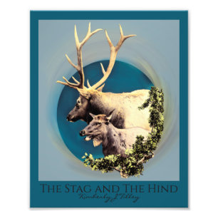 Foto La ampliación de la Stag y la Olla
