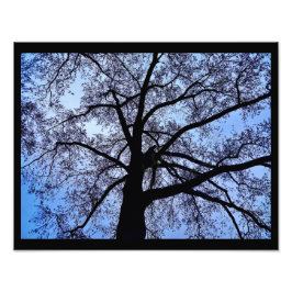 Foto La belleza de la naturaleza