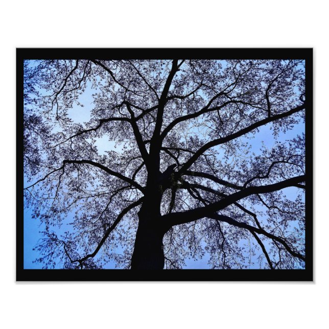 Foto La belleza de la naturaleza (Frente)