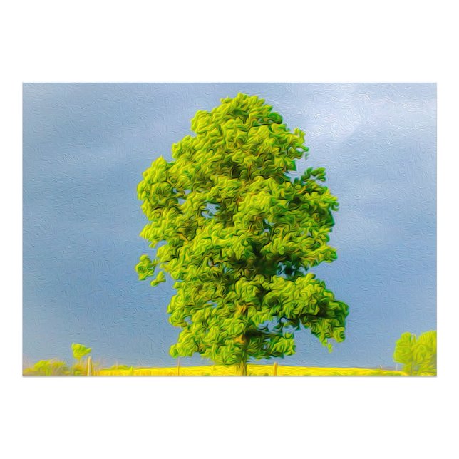 Foto La belleza en la tormenta (Frente)