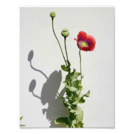 Foto La belleza también es la bestia.