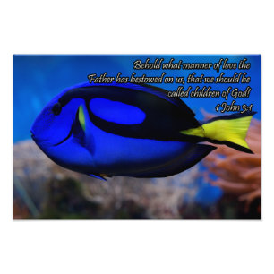 Foto La biblia cristiana fresca cita refranes