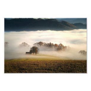 Foto La cabaña cubierta de niebla en la pradera