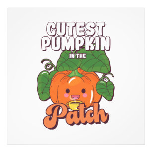 Foto la calabaza más linda de la parcela