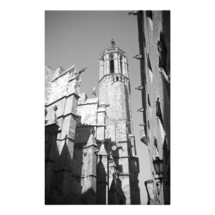 Foto La Catedral Gargoyles Photo (Barcelona, España)