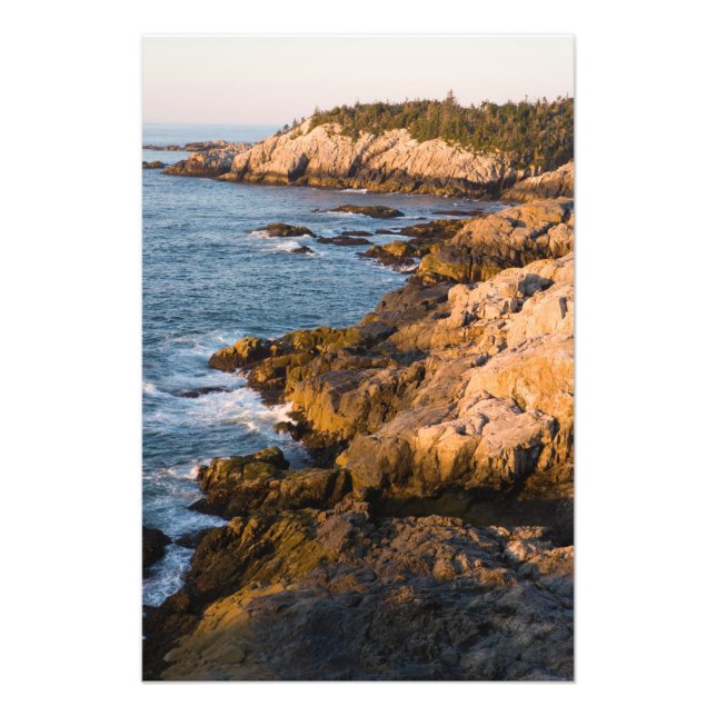 Foto La costa rocosa de Isle au Haut en (Frente)