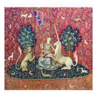 La dama y el unicornio, la vista