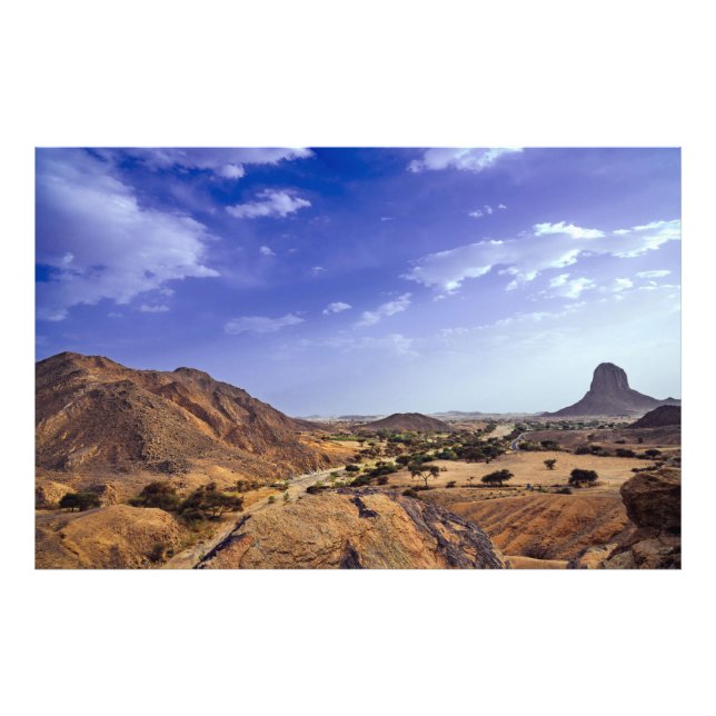 Foto La encantadora belleza de la naturaleza desértica  (Frente)