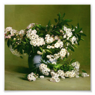 Foto La famosa laurel de la montaña Charles Ethan Port