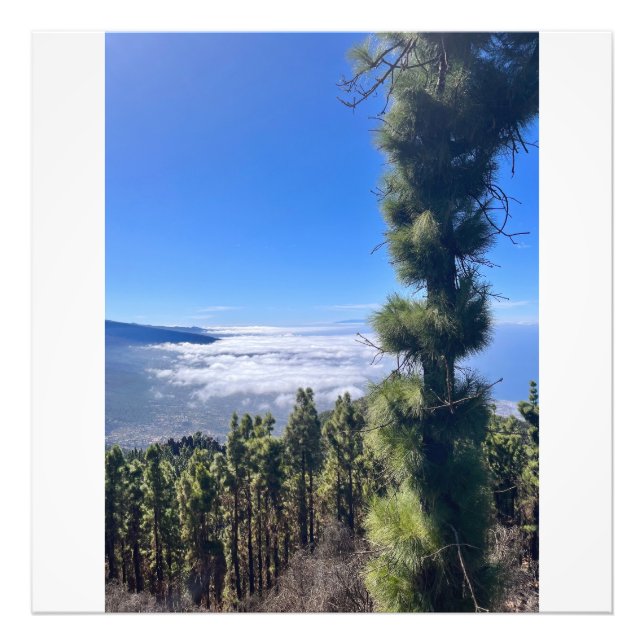 Foto La felicidad de Tenerife. (Frente)
