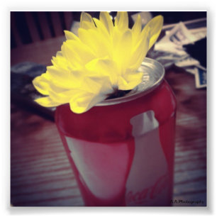 Foto La flor adentro puede