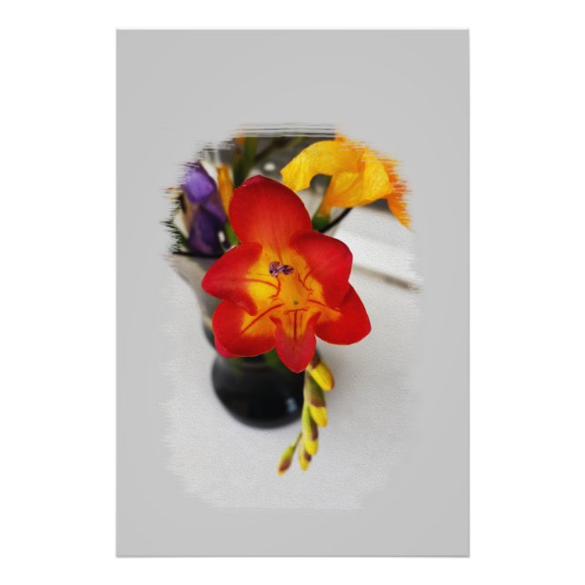 Foto La freesia roja (Frente)