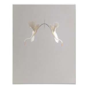 Foto La garza blanca se va de Zen