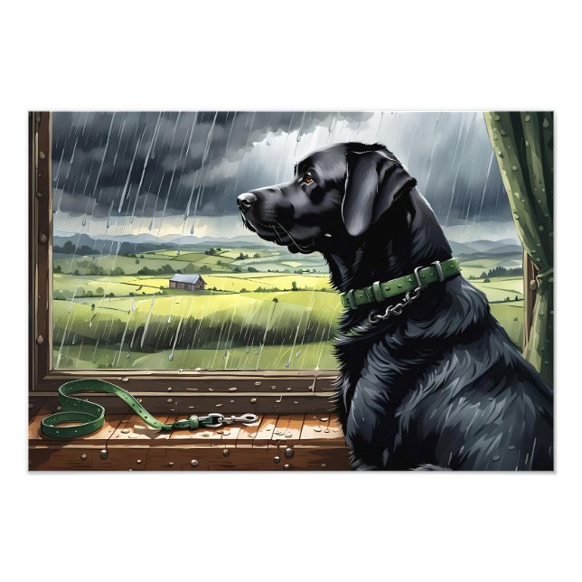 Foto La lluvia deja de jugar (Frente)