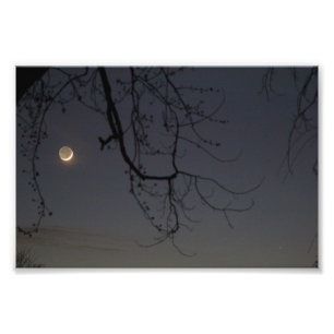 Foto La luna y el mercurio