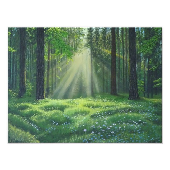 Foto "La mañana se ha roto" (Frente)