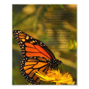 Foto La mariposa de monarca "le agradece mimar" a la