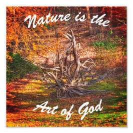 Foto "La naturaleza es el arte de Dios"