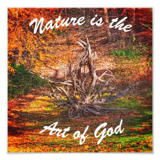 Foto "La naturaleza es el arte de Dios"