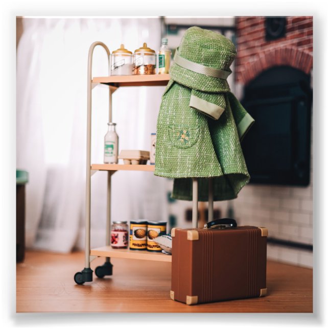 Foto La nueva llegada (Frente)