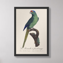 Foto La Perruche es una onda frontal