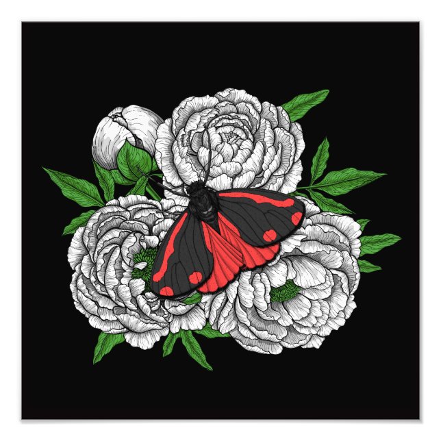 Foto La polilla del cinabrio (Frente)