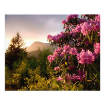 La primavera del atardecer Monte Mitchell en Carol