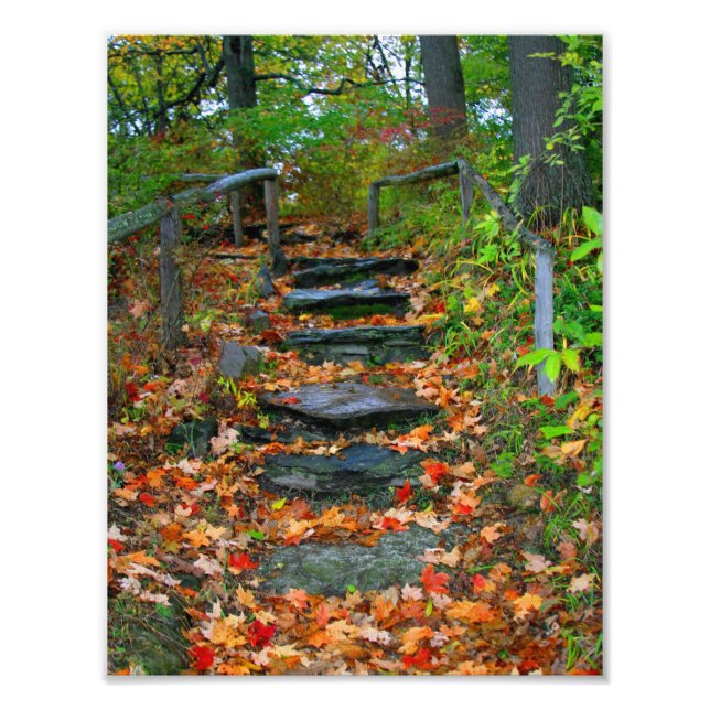 Foto La ruta (Frente)