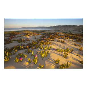 Foto La salida del sol ilumina las dunas de arena y la