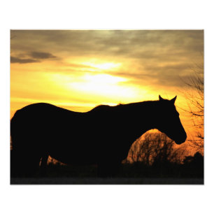 Foto La silueta de Kansas Sunset Horse en una pastelerí