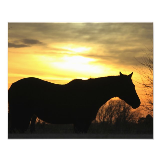 Foto La silueta de Kansas Sunset Horse en una pastelerí (Frente)