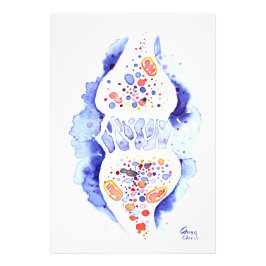 Foto La sinapsis y la impresión del lienzo de impulso n