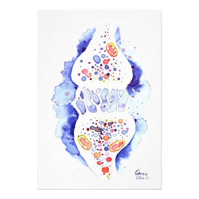 Foto La sinapsis y la impresión del lienzo de impulso n (Frente)