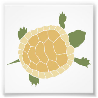 Foto La tortuga de tortuga tortuga
