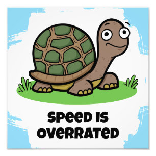 Foto La velocidad de la tortuga linda es sobrevalorada