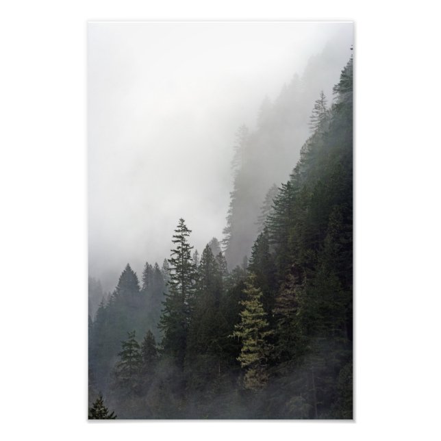 Foto La Vida Al Borde. (Frente)