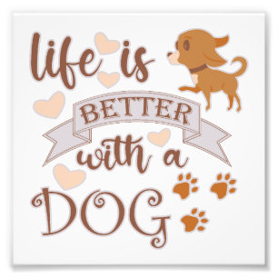 Foto La vida es mejor con una frase de perro chihuahua