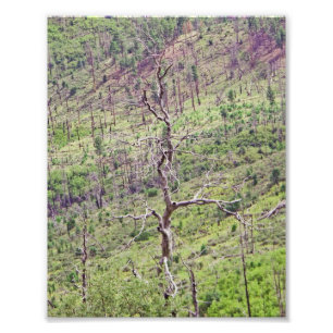 Foto La vida y la muerte en el valle