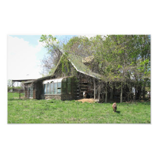 Foto La vieja casa de las cabras