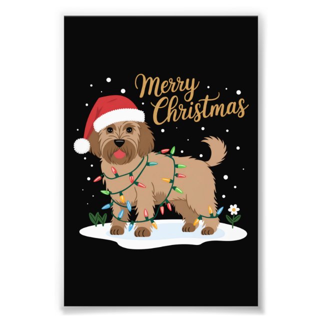 Foto Labradoodle Feliz Navidad Graciosa Navidad Perro a (Frente)
