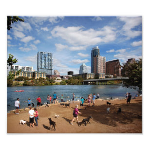 Foto Ladybird Lake Dog Park Austin Texas Skyline
