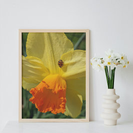Foto Ladybug en amarillo Daffodil Floral