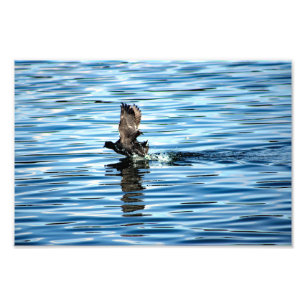 Foto Lago Arrowhead